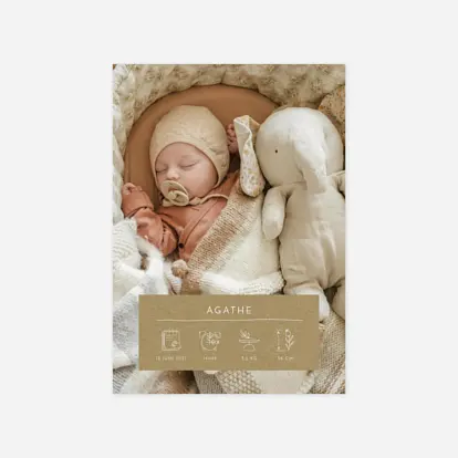Faire-part naissance Cartouche pictos