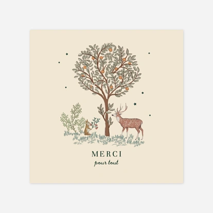 Carte remerciement naissance Conte de Noël