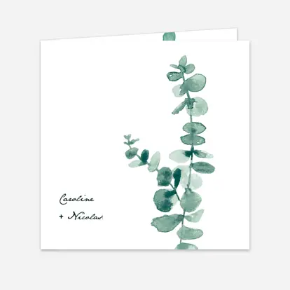 Romantique Eucalyptus