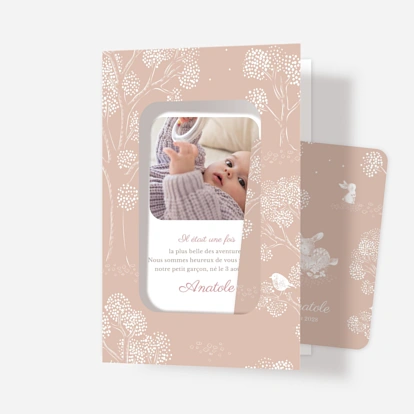 Faire-part naissance Histoire du soir