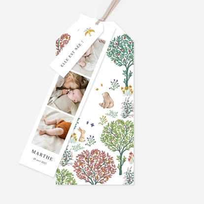 Faire-part naissance Histoire du jardin