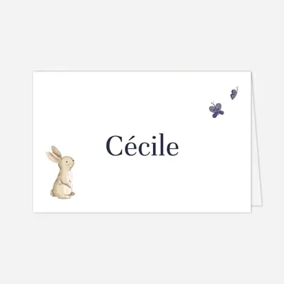 Marque-place Baptême Histoire du jardin