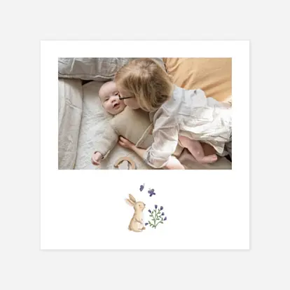 Histoire du jardin II Histoire du jardin II