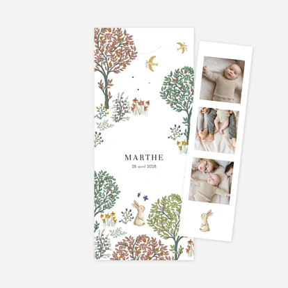 Faire-part naissance Histoire du jardin II