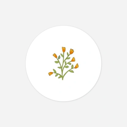 Stickers naissance Histoire du jardin II