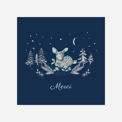 Carte remerciement naissance Histoire de Noël