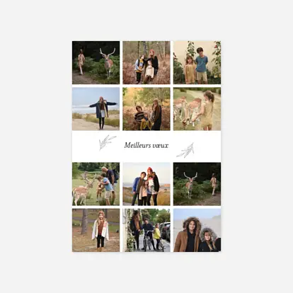 Carte de voeux Jeune pousse 12 photos