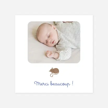 La famille des animaux La famille des animaux