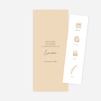 Faire-part naissance Pictos douceur