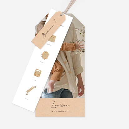 Faire-part naissance Pictos douceur