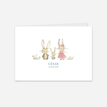 Printemps-eté Petits lapins