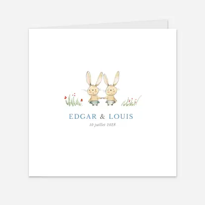 Faire-part naissance Petits lapins jumeaux