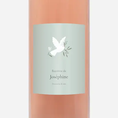 Petite colombe Petite colombe