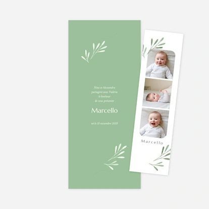 Faire-part naissance Picto végétal