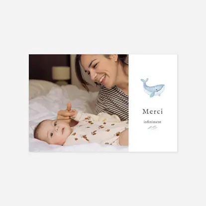 Pictos marins multiphotos Pictos marins multiphotos