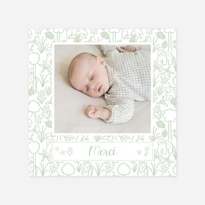 Carte remerciement naissance Promenade