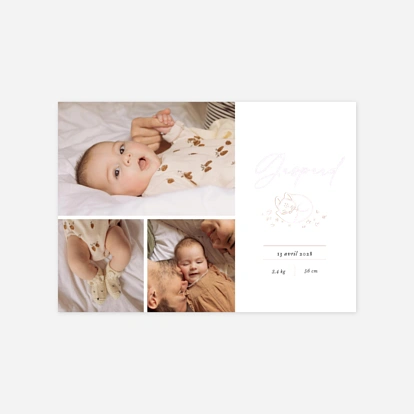 Faire-part naissance Renard