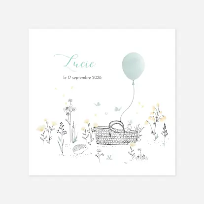 Faire-part naissance Sieste sur l'herbe